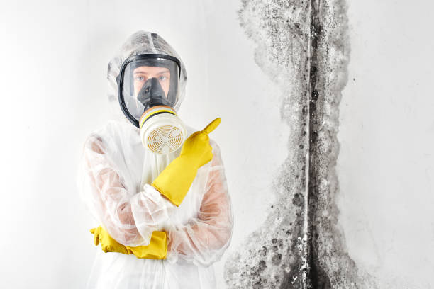 Best Forensic Mold Investigation  in Stonybrook, PA